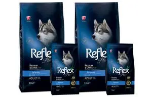 Reflex plus pour chiens