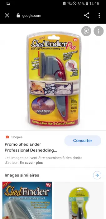 Brosse chat et chien