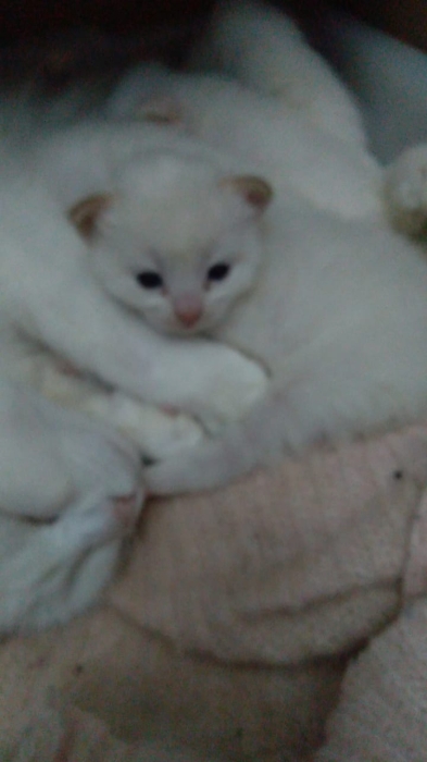 Juznzjsnss