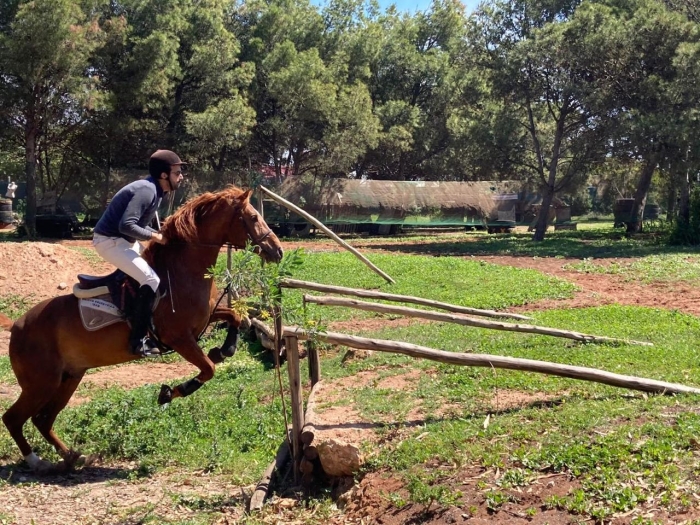 Cheval barb