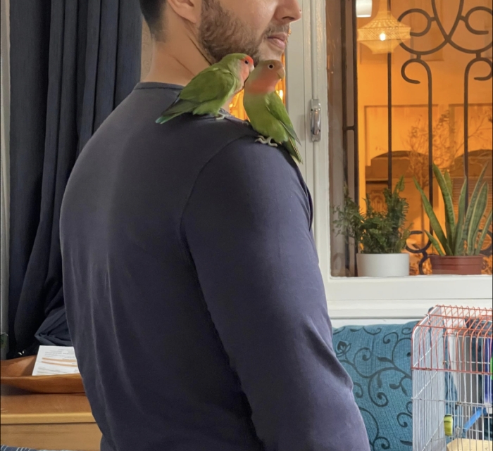 2 Inseparables Dressage Avec Cage Et Accessoires
