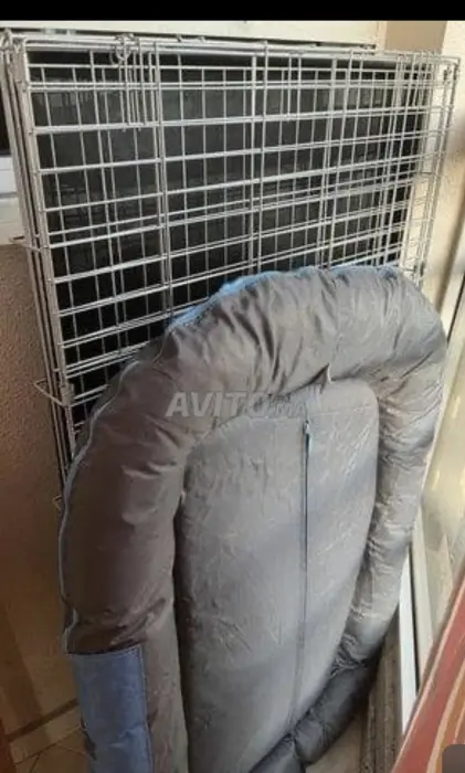 Cage xxl pour chiens