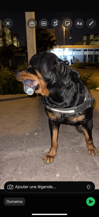 Rott