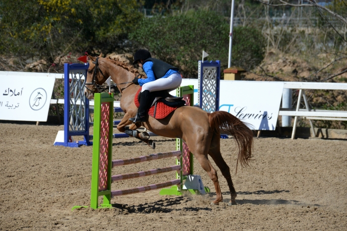 Poney c à vendre