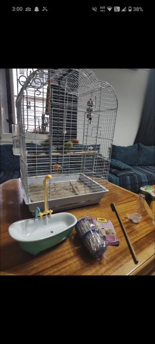 2 Inseparables Dressage Avec Cage Et Accessoires
