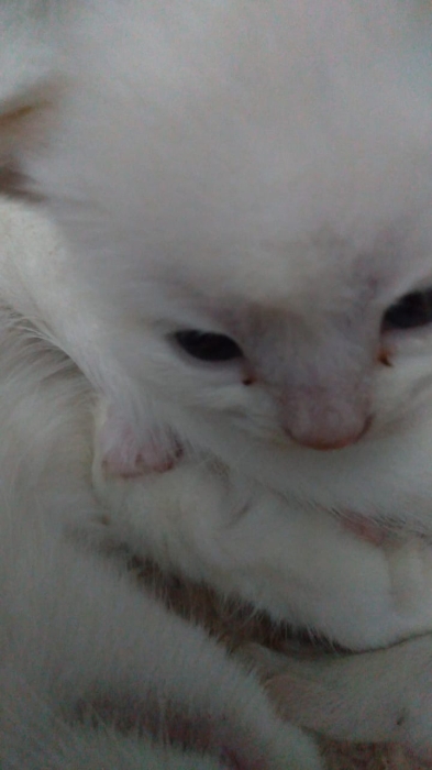 Juznzjsnss