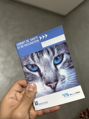 Lucy chat vaccinné
